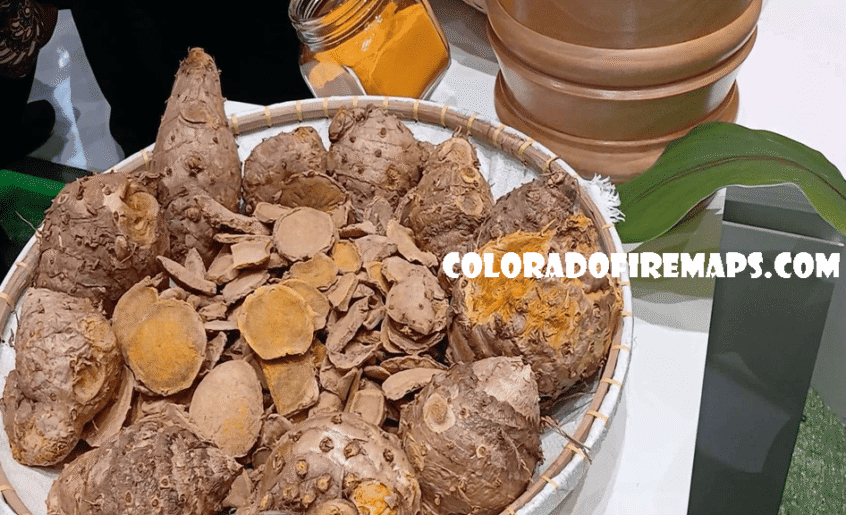 coloradofiremaps