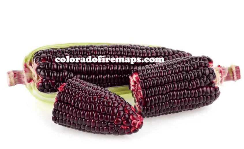 coloradofiremaps