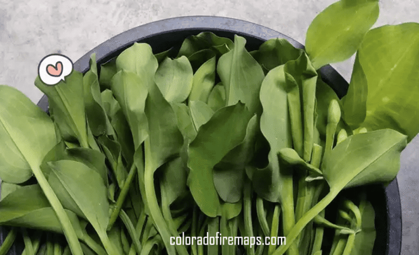 coloradofiremaps