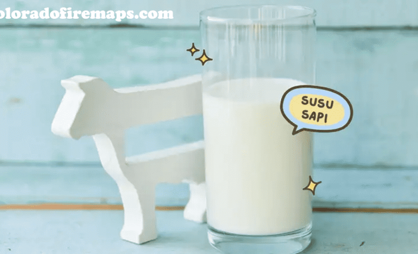 5 Jenis Susu Hewani di Pasaran dan Khasiatnya Bagi Kesehatan, Sudah Tahu?